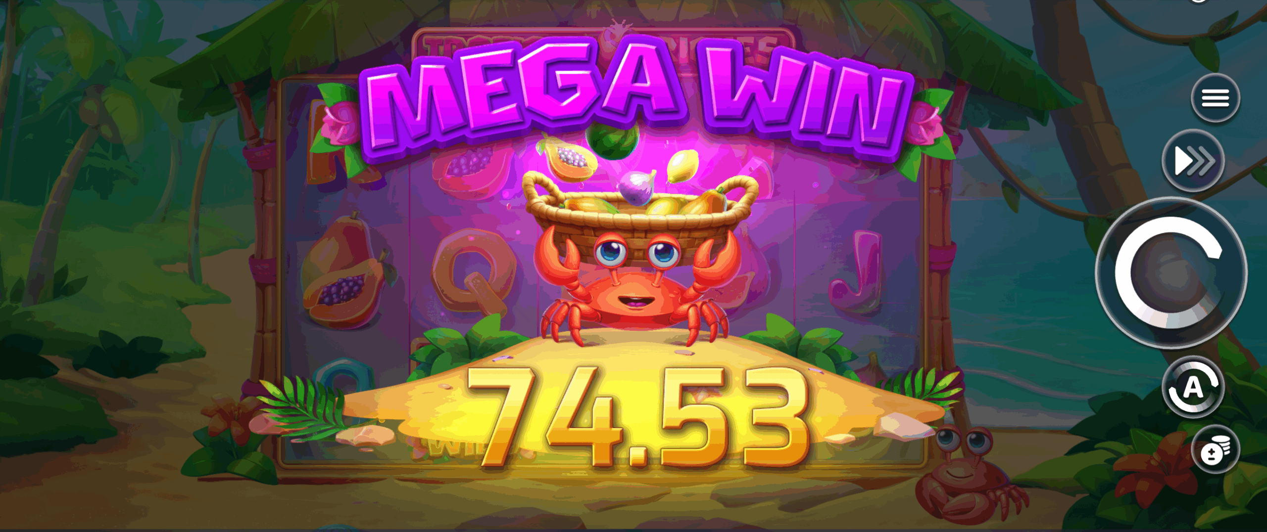 megawin ls megawin ls